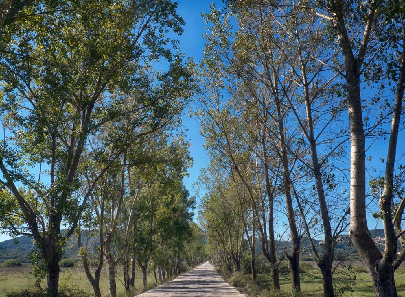 Πέρα από το Λιβάδι