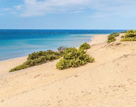 Χαλικούνας και Ίσσος