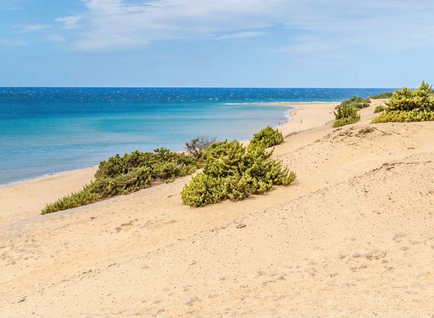 Χαλικούνας και Ίσσος