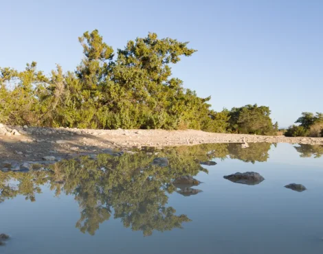Το Μεταβαλλόμενο Πρόσωπο της Φύσης