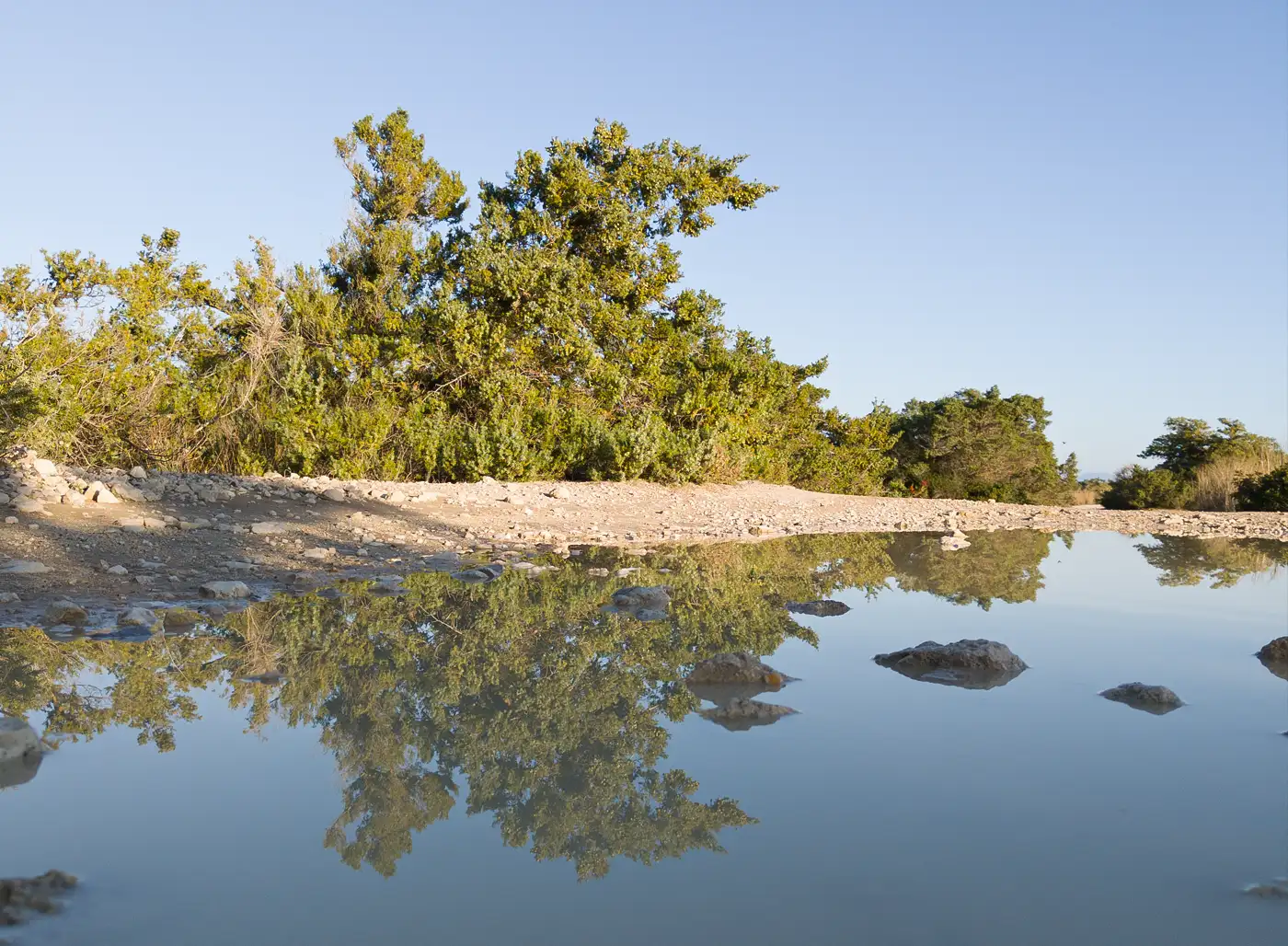 Το Μεταβαλλόμενο Πρόσωπο της Φύσης