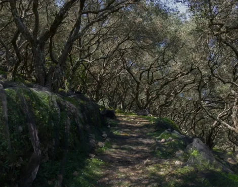 Τα Μονοπάτια της Κέρκυρας