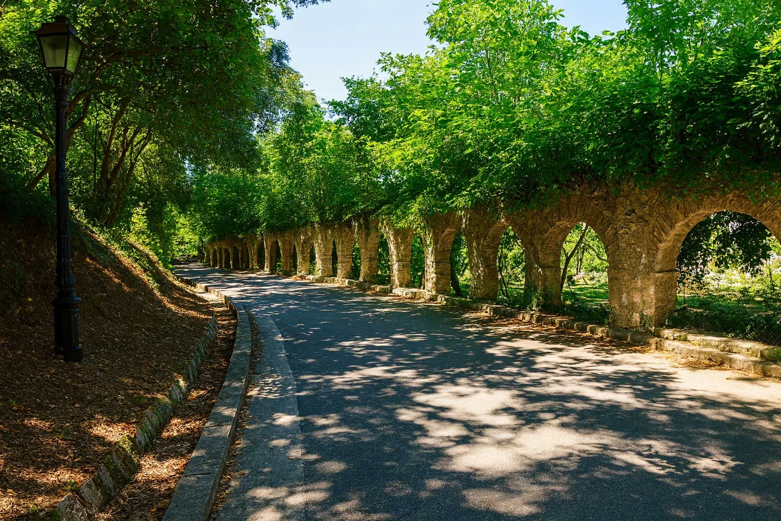 Οι μυστικοί κήποι της Κέρκυρας, Βοτανικοί κρυμμένοι πολύτιμοι λίθοι