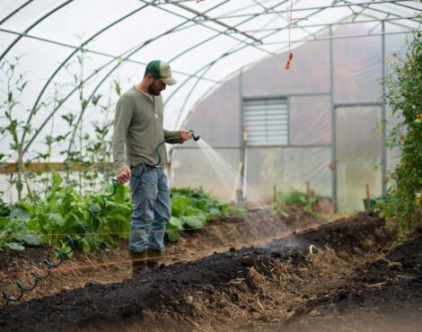 Γεύσεις της Γης: Εξερευνώντας τις Παραδόσεις “Από το Χωράφι στο Τραπέζι” της Κέρκυρας